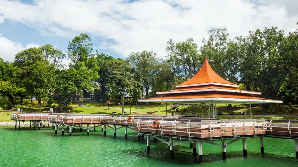 MacRitchie Reservoir Park